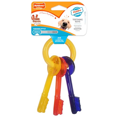 Nylabone Welpe Beißring Schlüssel, klein - Mehrfarbig, Small