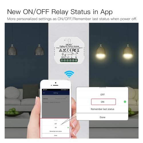 Vie intelligente et domotique : module de commutation intelligent Zigbee 2 Gang