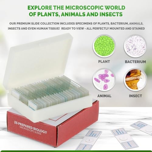 image for AmScope 25pc Prepared Glass Microscope Slides in Plastic Case with Pla