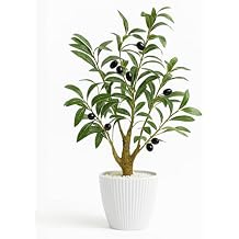 AceList Faux Olive Tree, 16.9 Inches Small Fake Olive Trees with White Pot, Realistic Fake Tree Potted Plant and Lifelike Fruits for Home Room Modern Farmhouse Decor