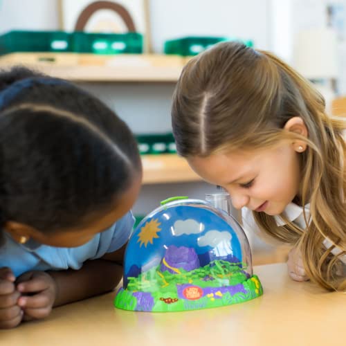 Insect Lore Ladybug Land | Ladybug Growing Kit Habitat | Redeem Voucher For Live Ladybug Larvae - Image 6