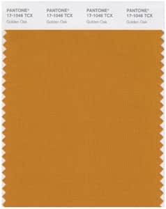 PANTONE SMART 17-1046X Color Swatch Card, Golden Oak by Pantone ...