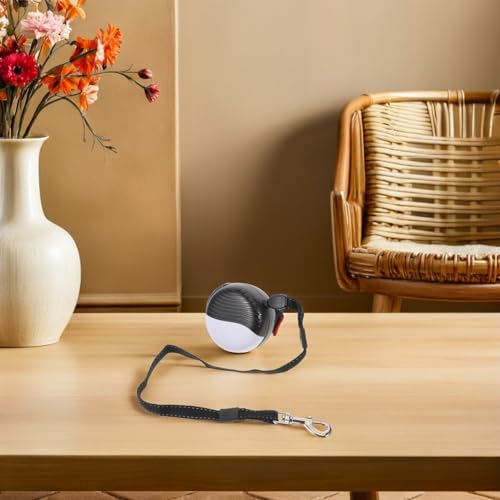Laisse corde extensible pour chien rétractable automatique en ABS 3m - 7