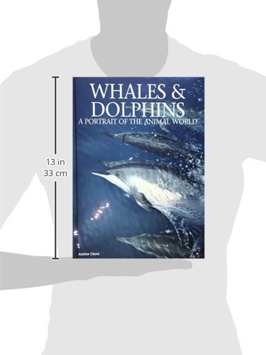 Whales and Dolphins – vue 3