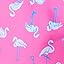 Bright Pink Flamingo