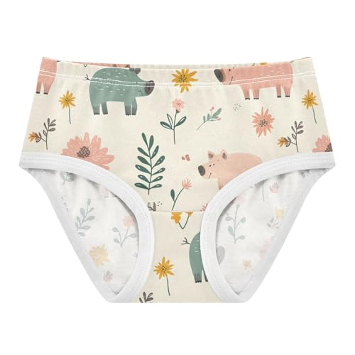 Wusikd Cute Boars Girls' Underwear Cotton Flowers Girls Briefs Soft Toddler Underwear 2T