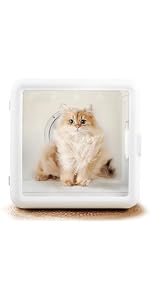 Amazon | Yilucess 猫タワー キャットタワー 360°透明宇宙船 猫 爪とぎ