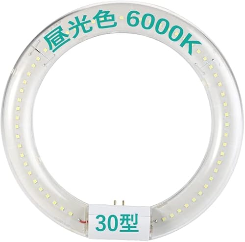 LEDu ی^u 30` 32` 40` O[ Hsv dF F F \Pbg P͎m (30^, F)