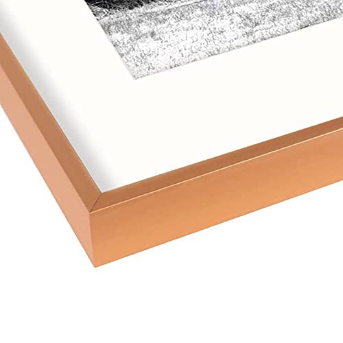 Auear, 16X20 Picture Frame - Display Photos 11X14 With Mat Or 16X20 Without Mat - Aluminum Metal Pictures Frame For Wall Mounting - Real Glass (Rose Gold) #TOP5
