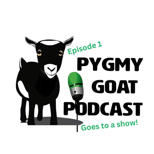Why do we love pygmy goats?