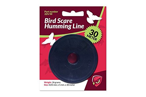 Flötenband 30 Meter Cover