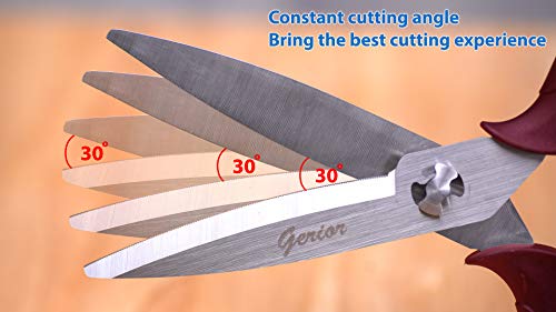 Food Scissors - Separable Kitchen Shears For Cutting Food, Meat, Herbs (Marsala) #TOP4