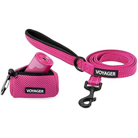 Best Pet Supplies Voyager Reflective Dog Leash with Neoprene Handle, 5 FT. and Reusable Mesh Dispenser Poop Bag Holder Set for Travel, Walking, Park and Outdoor Use, Soft and Durable with Clip-On Cover