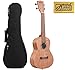Kala Burled Meranti Concert Ukulele With Padded Gigbag, KA-20C