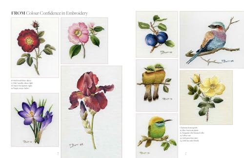 Image of Trish Burr's Embroidery Transfers: Over 70 iron-on designs