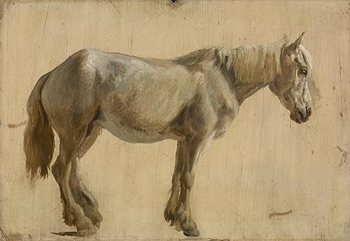 Peinture Poster Impression Tableaux d'animal gris style moderne