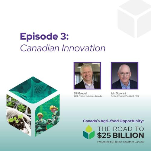 Episode 3 - Innovation