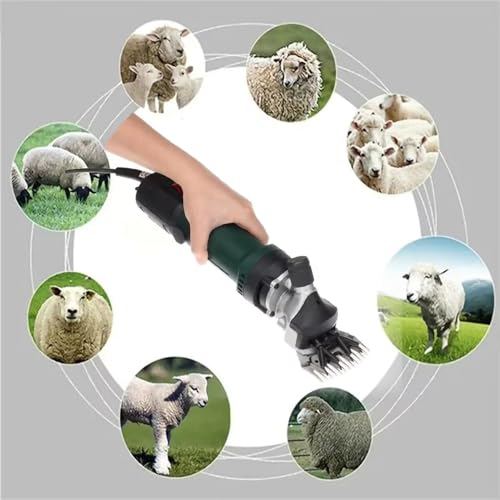 Tondeuse électrique pour moutons 13 dents avec 6 vitesses réglables - 6