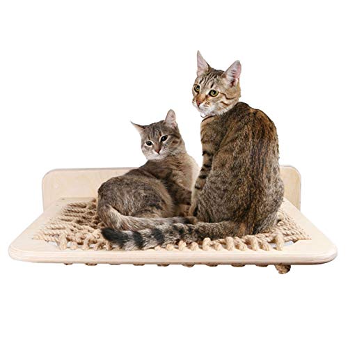 Escalier mural pour chat en bois jeu escalade et parcours - 6