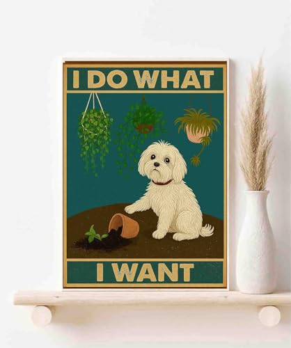 Póster de perro maltés en lienzo para decoración de salón con diseño divertido