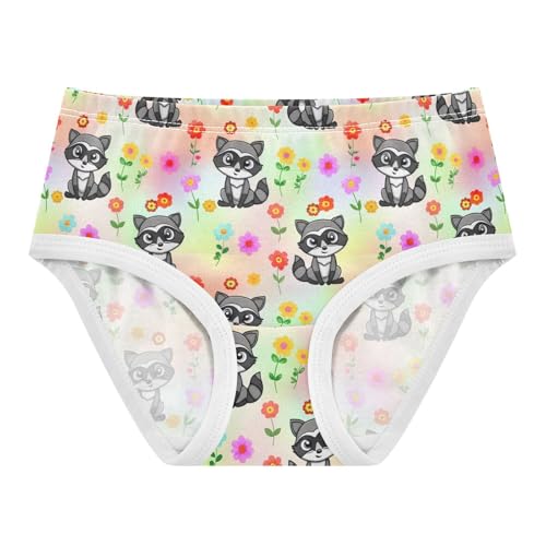 Cute Cartoon Raccoons Animal Toddler Girls Underwear 2t Cotton Little Girl Panties Pattern Briefs Girls Undies