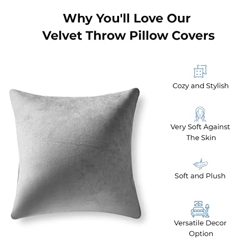 Seevo Velvet Throw Pillow Covers, Soft Decorative Square Cushion Pillows Covers Pack For Couch Sofa Chair Home Bedroom, Set Of 2-16 Inch X 16 Inch (Beige) #TOP2