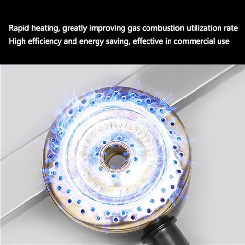 Edelstahl-Fritteuse mit hoher Kapazität für den professionellen Einsatz – kommerzielle LPG-Gas-Fritteuse – Bild 5