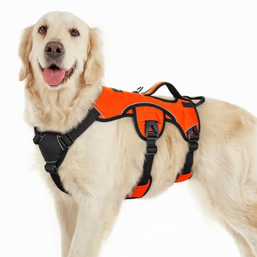rabbitgoo Escape Proof Dog Harness, Soft Padded Full Body Pet Harness, Reflective Adjustable No Pull Vest with Lift Handle and Leash Clip for Large Dogs Walking Hiking Training, L, Orange