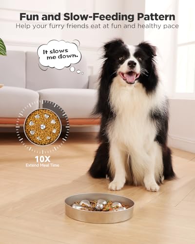 Oiwliur Slow Feeder Dog Bowls – Stainless Steel Non-Slip Metal Bowl for Slow Feeding, 5 Cups Large Capacity, Double-Sided Design for Dry, Wet, or Raw Food, Ideal for Small, Medium, Large Dogs
