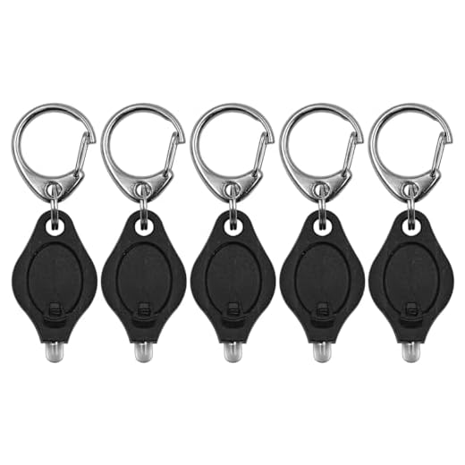 Namvo 6er-Pack Mini-LED-Taschenlampen-Schlüsselanhänger, ultrahelle Schlüsselanhänger-Licht-Taschenlampe mit Federkarabiner (schwarz)