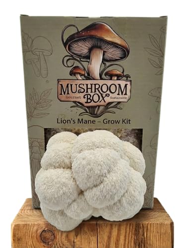 Kit de cultivo de setas Lion's Mane (Hericium erinaceus) - | Cultiva tus propias | Setas frescas | Deliciosas con salsa de soja | Suplemento de Lion's Mane | Nutrition Geeks | 1,8 KG