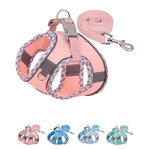 Petank Dog Harness for Small Medium Dogs No Pull, Puppy Harness and Leash Set, Step in Dog Harness for Walking, Running, Training, Small Dog Vest (Pink, XXS)