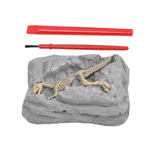 Kits de excavación de dinosaurios para, kit de dinosaurio dig, Kit de paleontología infantil, Conjunto de actividades de arqueología de la ciencia de la educación STE