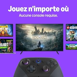 Manette Luna sans fil