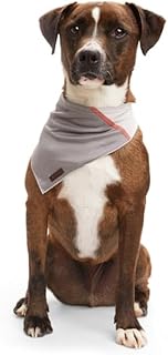 Reddy Grey Cooling Dog Bandana, Large/X-Large