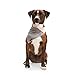 Reddy Grey Cooling Dog Bandana, Large/X-Large