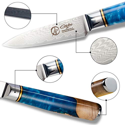 Dnifo Classic Paring Knife 3.5 Inch, Damascus Steel Japanese Knife - Sharp fruit knife for Peeling, Cutting, and Slicing - Non-stick Blade and Anti-rusting Forged Cutlery Knife