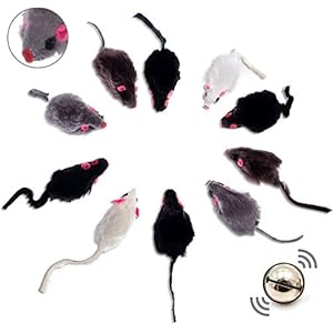 10er Set Spielmäuse Spielmaus 10 Stück mit Glocke I ohne Plastikteile außen (Augen, Nase) in Katzenminze getränkt Katzenspielzeug für alle Katenrassen (10 Stück Mix)