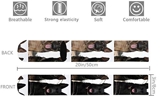 Black German Shepherd Puppies Men's/Women's Comfortable Casual Funny Long Knee High Socks Compression Socks Winter Warm Soccer Socks #TOP6