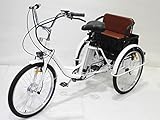 Diseño de canasta + asiento trasero de triciclo eléctrico: la canasta está equipada con poleas y se puede quitar como un carrito de compras separado. Montado y usado con triciclos, diseño de asiento con cubierta de canasta, con cinturón de seguridad,