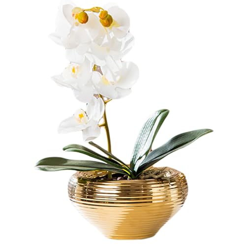 Pot de fleurs doré rond 20 cm céramique table maison bureau