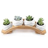 Macetas de cerámica para suculentas, plantas cactus, pequeñas macetas blancas, maceteros para bonsáis, macetero decorativo con bandeja de bambú