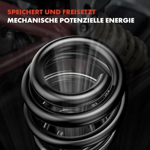Frankberg 2x Fahrwerksfeder Federlager Hinterachse Links Rechts Kompatibel mit Cruze Station Wagon J308 Kombi 2012-2016 Replace# 09199577