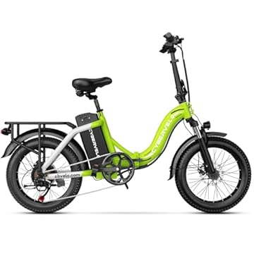 electric bike extra battery