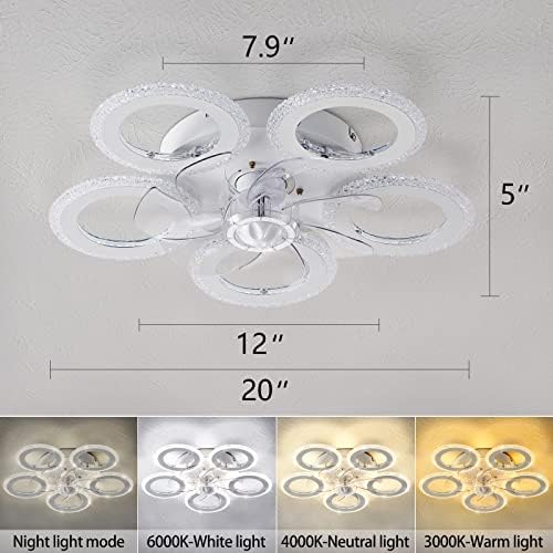 Ceiling Fan with Lights
