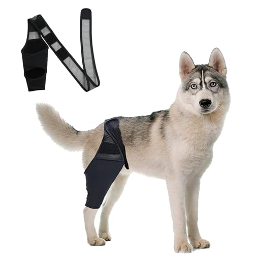 DKDDSSS Attelle pour Chien - Orthèse Genou Chien Protection Patte Soutien et Confort pour Votre Compagnon à Quatre Pattes