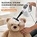 Handheld Steam Cleaner for Home, Pressurized Portable Steamer for Cleaning with 15 Accessories for Multi-Surface Cleaning, Floors, Tiles, Grout, Kitchen, Bathroom, Couch & Car(Grey Cap&Grey Handle)