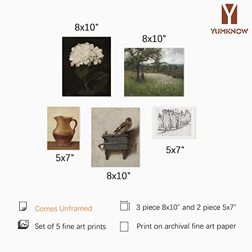 Vintage Farmhouse Wall Decor - Flower Bird Neutral Wall Art For Boho French Country Kitchen Bathroom, Rustic Bedroom Picture Poster Print, Beige Room Decor Aesthetic Botanical Cottagecore 5 Unframed #TOP1