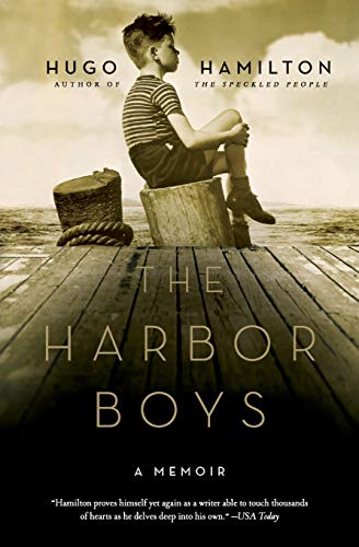 The Harbor Boys: A Memoir – A Powerful Story of Irish-German Identity, Emotional Inheritance, and Ireland's Troubles