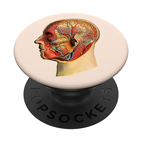 Cool Human Anatomy Body Parts Biology Brain Design en Rosa PopSockets PopGrip Intercambiable
